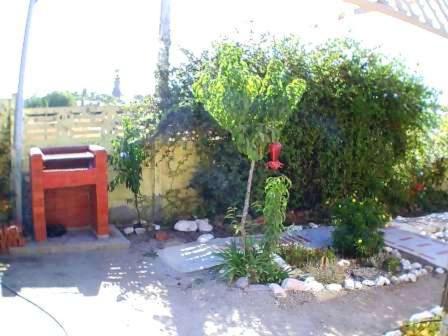 un jardín con una boca de incendios y una planta en Los Faroles, en Pichidangui