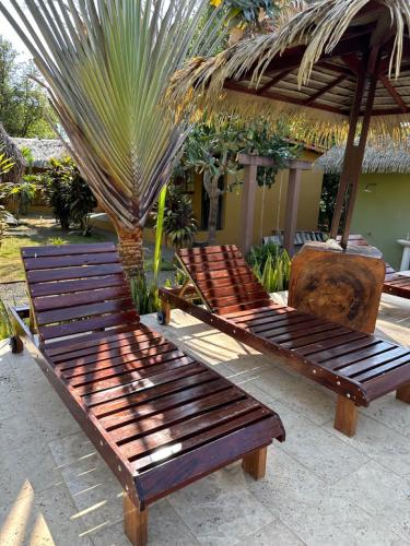 two wooden benches sitting under a umbrella next to a palm tree at Hotel Las Hamacas in Santa Catalina
