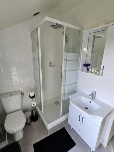 une salle de bain avec une douche, des toilettes et un lavabo dans l'établissement Studio 1pièce cosy Paris-Disney, à Vaires-sur-Marne