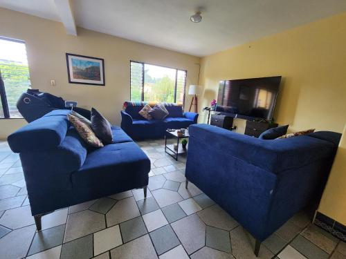 a living room with two blue couches and a tv at Las Flores in San Pedro Carchá