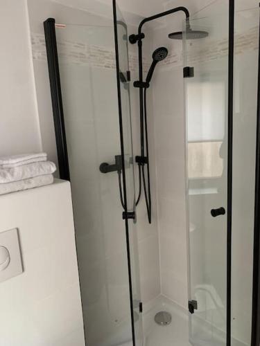 a shower with a glass door in a bathroom at Ellerbachblick in der Altstadt in Bad Kreuznach