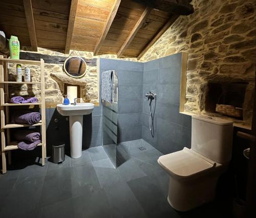 提內奧的住宿－Ca Manín，一间带水槽、淋浴和卫生间的浴室