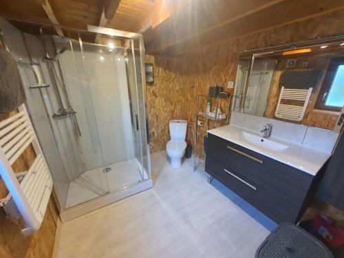 een badkamer met een douche, een wastafel en een toilet bij chalet 6 personnes avec piscine in Cabourg