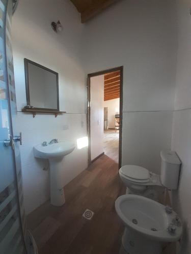 a bathroom with a sink and a toilet and a mirror at Brisas de Atlantida in Santa Clara del Mar