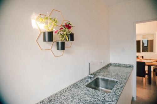 a kitchen counter with two potted plants on a wall at Casa Cornu in San Rafael