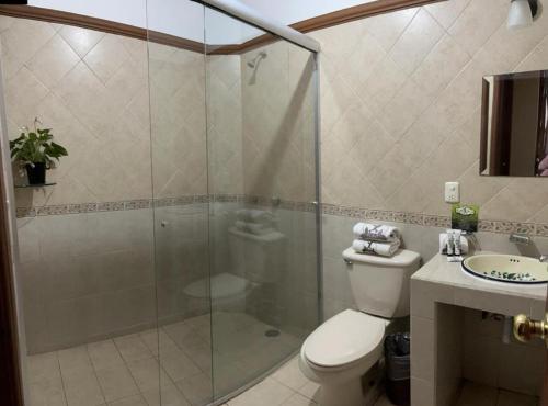 a bathroom with a shower and a toilet and a sink at Hotel el Leñador in Mazamitla