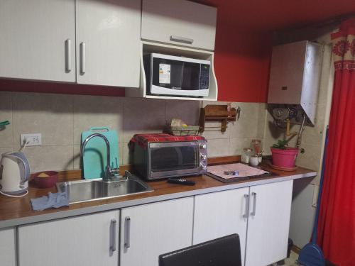 una pequeña cocina con fregadero y microondas en Caluvi en Ushuaia