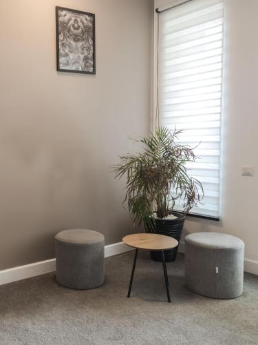 a room with two stools and a table and a plant at GAVAS Jacuzzi Relax Zen in Cluj-Napoca