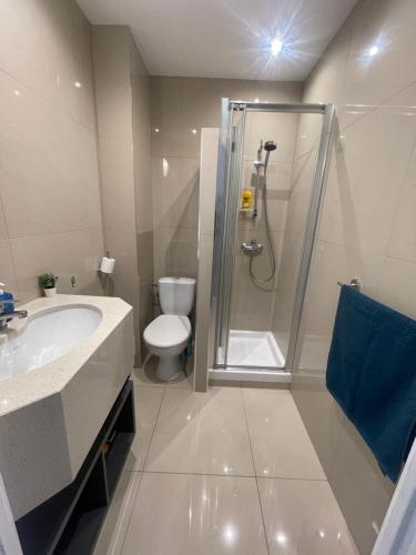 une salle de bain avec une douche, des toilettes et un lavabo dans l'établissement Cosy studio en face de la gare, à Nice