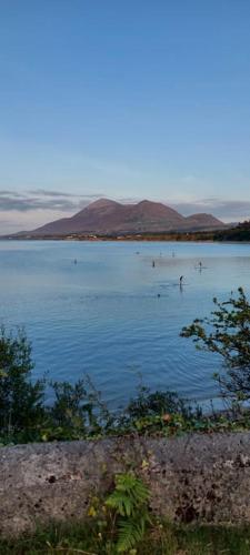 a large body of water with birds in it at Country Cabin in Mullagh