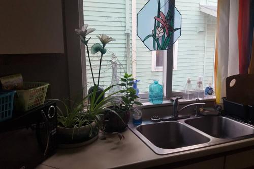 um lavatório de cozinha com plantas num balcão ao lado de uma janela em Cozy 3 Bedroom House in Downtown Ithaca em Ithaca