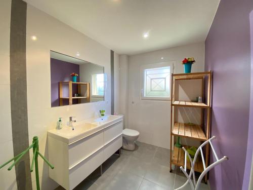 une salle de bain avec un lavabo, des toilettes et un miroir dans l'établissement Holiday home with pool, à Grayan-et-lʼHôpital