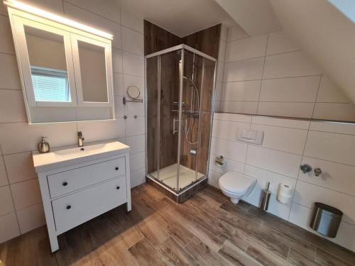 a bathroom with a shower and a sink and a toilet at Maisonette holiday apartment Fichtelberg in Annaberg-Buchholz