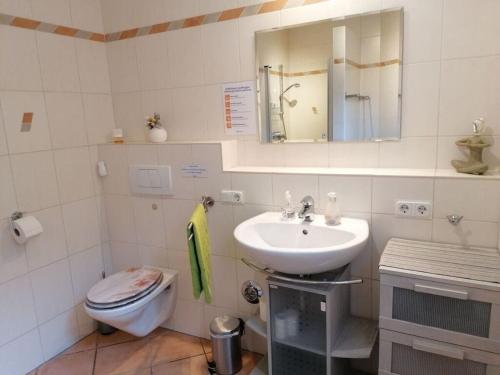 a bathroom with a sink and a toilet and a mirror at Holiday apartment Kerstin in Selbach