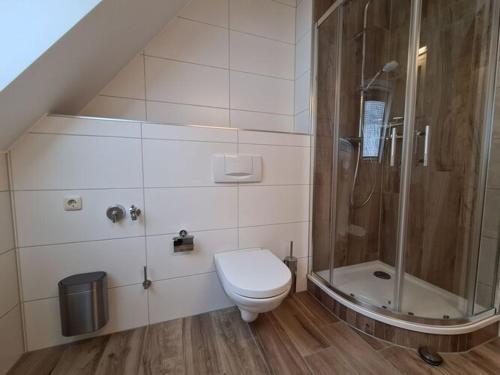 een badkamer met een douche, een toilet en een douche bij Holiday maisonette apartment "Keilberg" in Annaberg-Buchholz