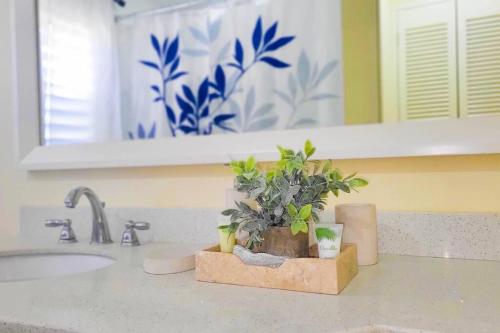 a bathroom counter with a sink with plants on it at "LuxuryCrest , King Bed, BBQ & Backyard Games, Near Ocho Rios" in Ocho Rios