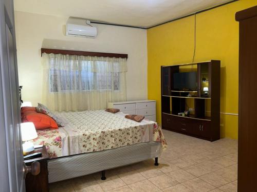 a bedroom with a bed and a television in it at Casa Maya Itza in Flores
