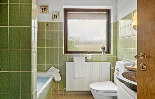 ein Bad mit einem Waschbecken, einem WC und einem Fenster in der Unterkunft 4 Bedroom Gorgeous Home In Holstebro in Holstebro