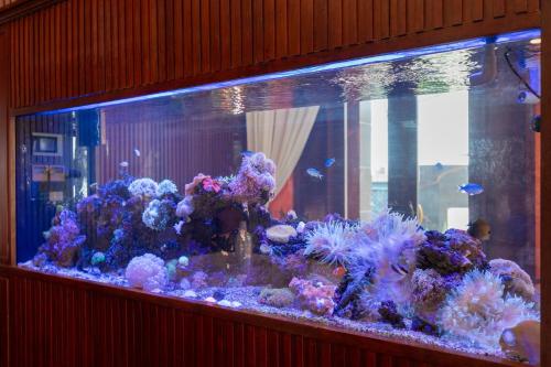 a large aquarium filled with lots of colorful fish at OrangeBlue villa near Beach Pool free Vung Tau Vietnam in Vung Tau
