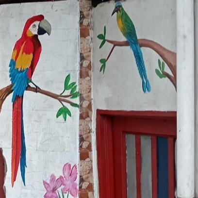 two colorful birds perched on a branch above a window at Hostal Piedra del Ocaso in Manizales