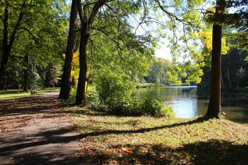 a path in a park next to a body of water at Penzion Dobré Časy in Poděbrady