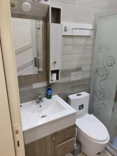 uma casa de banho com um lavatório, um WC e um espelho. em Lotus housing for furnished apartments em Gérasa