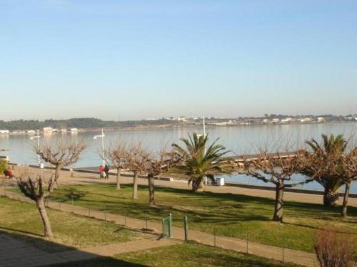 F1 cosy avec loggia et 4 couchages à Balaruc-les-Bains, animaux admis - FR-1-680-40