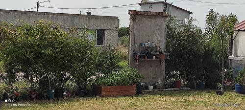an old building with plants and trees in a yard at Alquimia Qi del Mar in Mar de Cobo