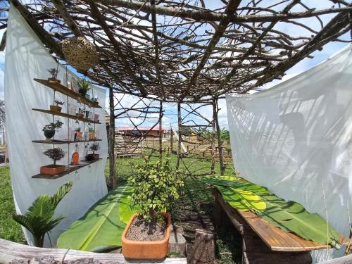 a greenhouse with a bench and plants in it at Vibras in Popayan