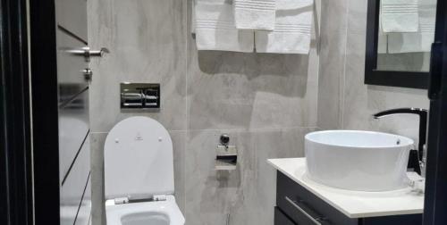 La salle de bains est pourvue de toilettes blanches et d'un lavabo. dans l'établissement Grand Aria Hotel, à Gaborone