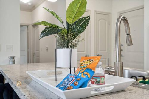 a potted plant sitting on top of a kitchen counter at Houston Med Center Luxury King Suite with Free Parking in Houston