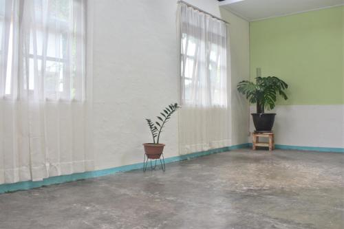 Gambar di galeri bagi Mama's Homestay Ruteng di Ruteng