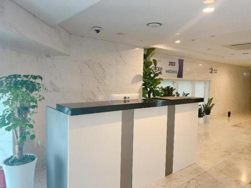 a lobby with a counter with potted plants at THE AVA HOTEL JEJU in Jeju