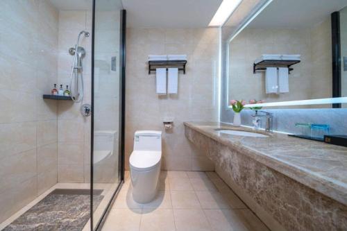 een badkamer met een douche, een toilet en een wastafel bij Borrman Hotel Yongzhou Lingling Ancient Town Government in Yongzhou