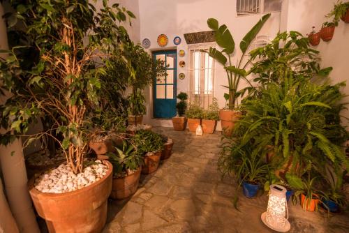 Сад в Casas Trafalgar