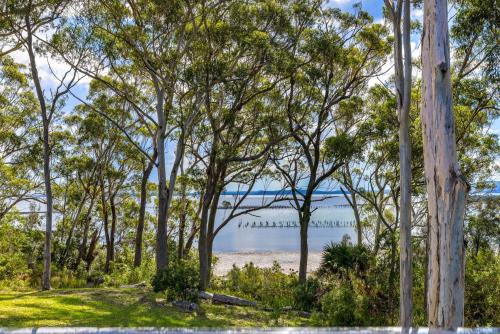 a view of the beach through the trees at Woodlands Sunsets Soldiers Point - Whole Property in Soldiers Point