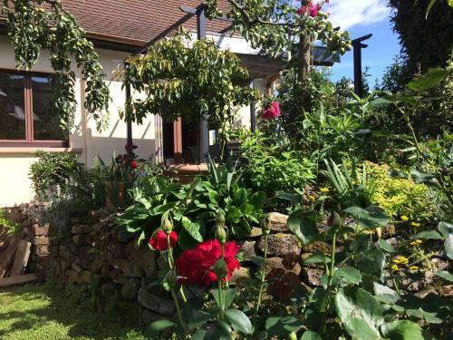 a garden with roses and a stone wall at Gite Le Mandlé in Riquewihr