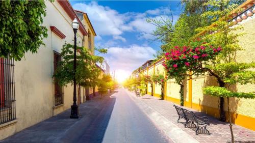 グアダラハラにあるTlaquepaque Cultural Haciendaの旧市街の花の空き道