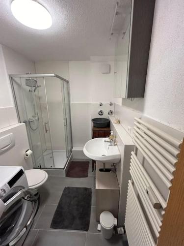 a bathroom with a shower and a sink and a toilet at Kirchdorf Lounge - komplette Ferienwohnung in Unteropfingen
