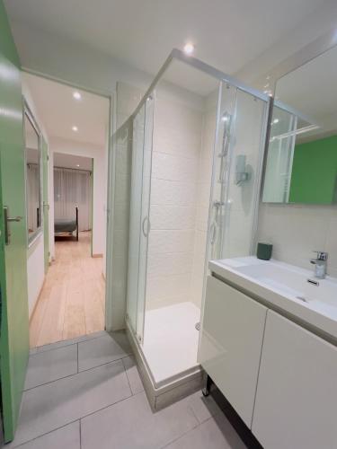 une salle de bain avec douche et lavabo dans l'établissement Superbe T3 séjour Marseille Clim 2 balcons Timone, à Marseille