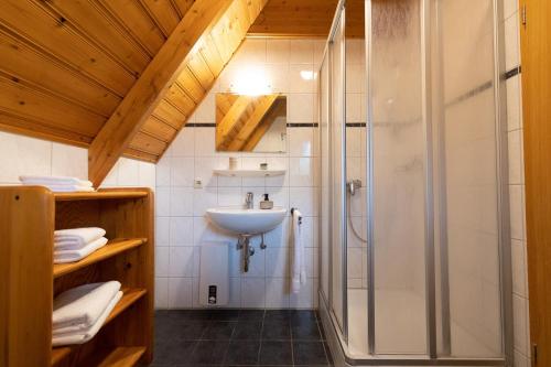 a bathroom with a shower and a sink at LA 26 - Strandvogt 3 Komfort in Schottwarden