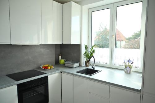 Η κουζίνα ή μικρή κουζίνα στο Orzechowa Przystań-Apartament przy plaży