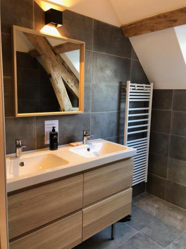 une salle de bain avec un lavabo et un miroir dans l'établissement Chateau de Tosny, à Tosny