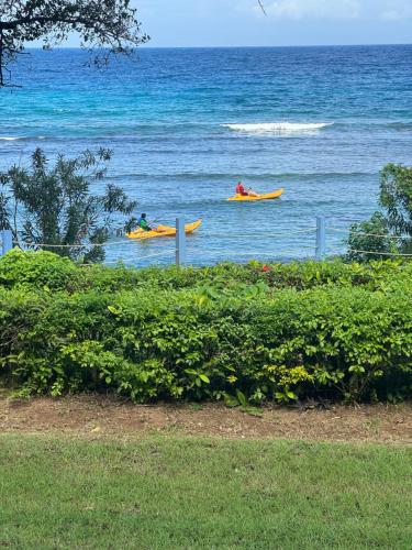 two people are in kayaks in the water at Carib condo in Ocho Rios