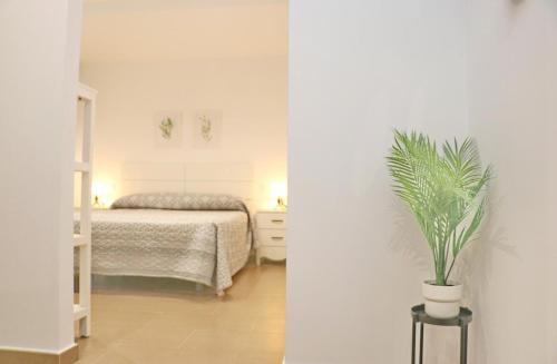 Apartamento White Love