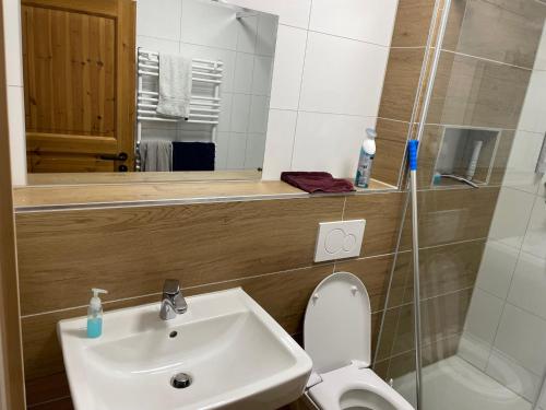 a bathroom with a sink and a toilet and a shower at Apart Nordgrat - Buxacher Straße 23 + Motorradvermietung in Memmingen