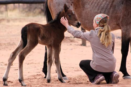 マルタヘーエにあるThe Farm Life - Namibiaの女が馬をふるっている