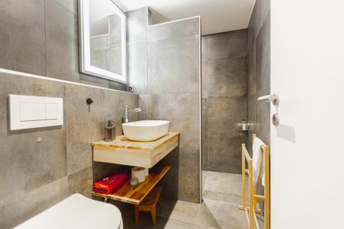 Studio rénové avec vue imprenable sur les Alpes photo 3