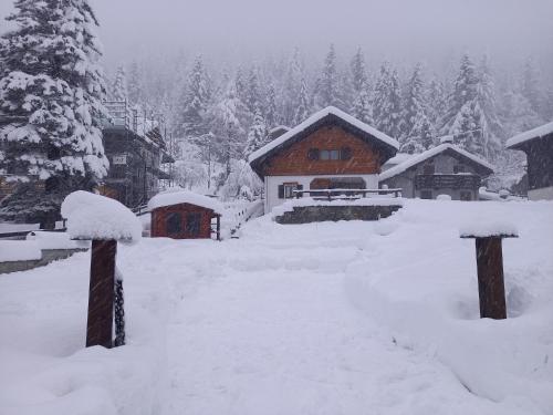 a snow covered yard in front of a cabin at SOLENEVE in San Domenico