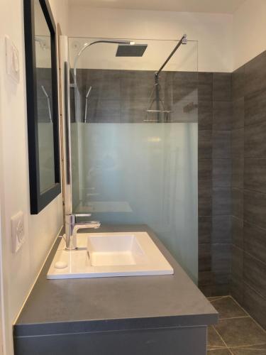 une salle de bain avec un lavabo et une douche dans l'établissement Maisonnette au calme prôche forêt et bord de mer, à Saint-Jean-de-Monts